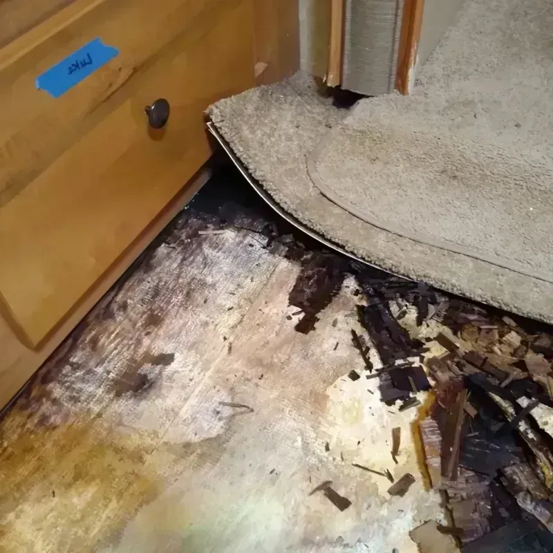 Wood Floor Water Damage in Peotone, IL